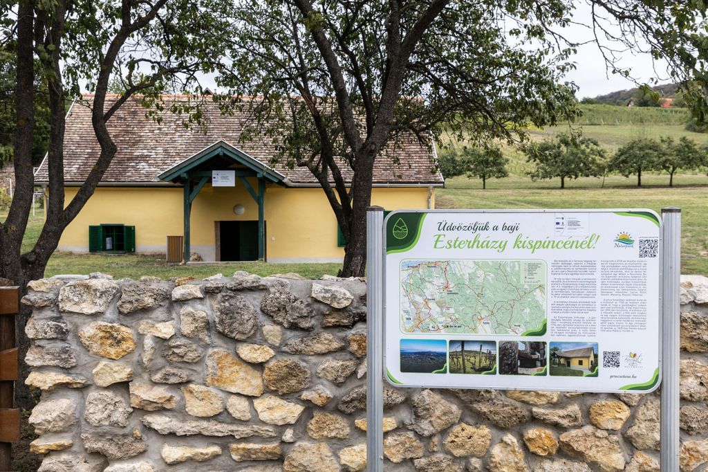 Az Esterházy Kispince kivitelzési folyamatai megkezdődtek Fotó: Flajsz Péter / Forrás: 24 óra