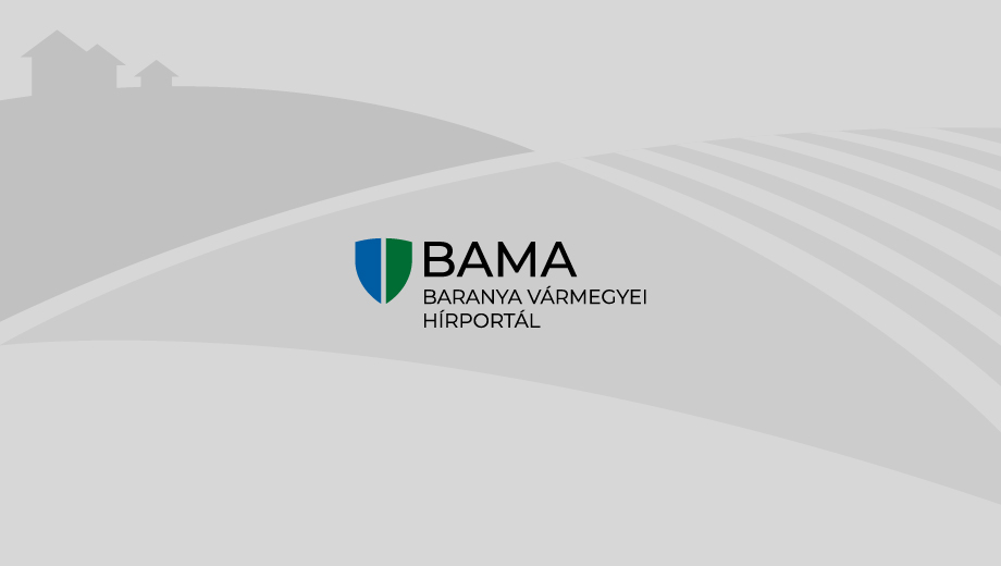 A mentességet újonnan választóknak december 31-ig kell nyilatkozniuk, legegyszerűbben az Online Nyomtatványkitöltő Alkalmazásban (ONYA).