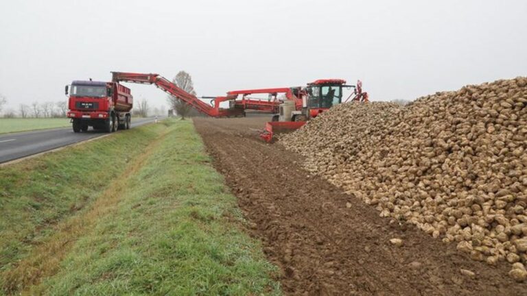 Két kezén meg tudja számolni, hányan foglalkoznak még a cukorrépával Vasban – mondja Marlovics Norbert