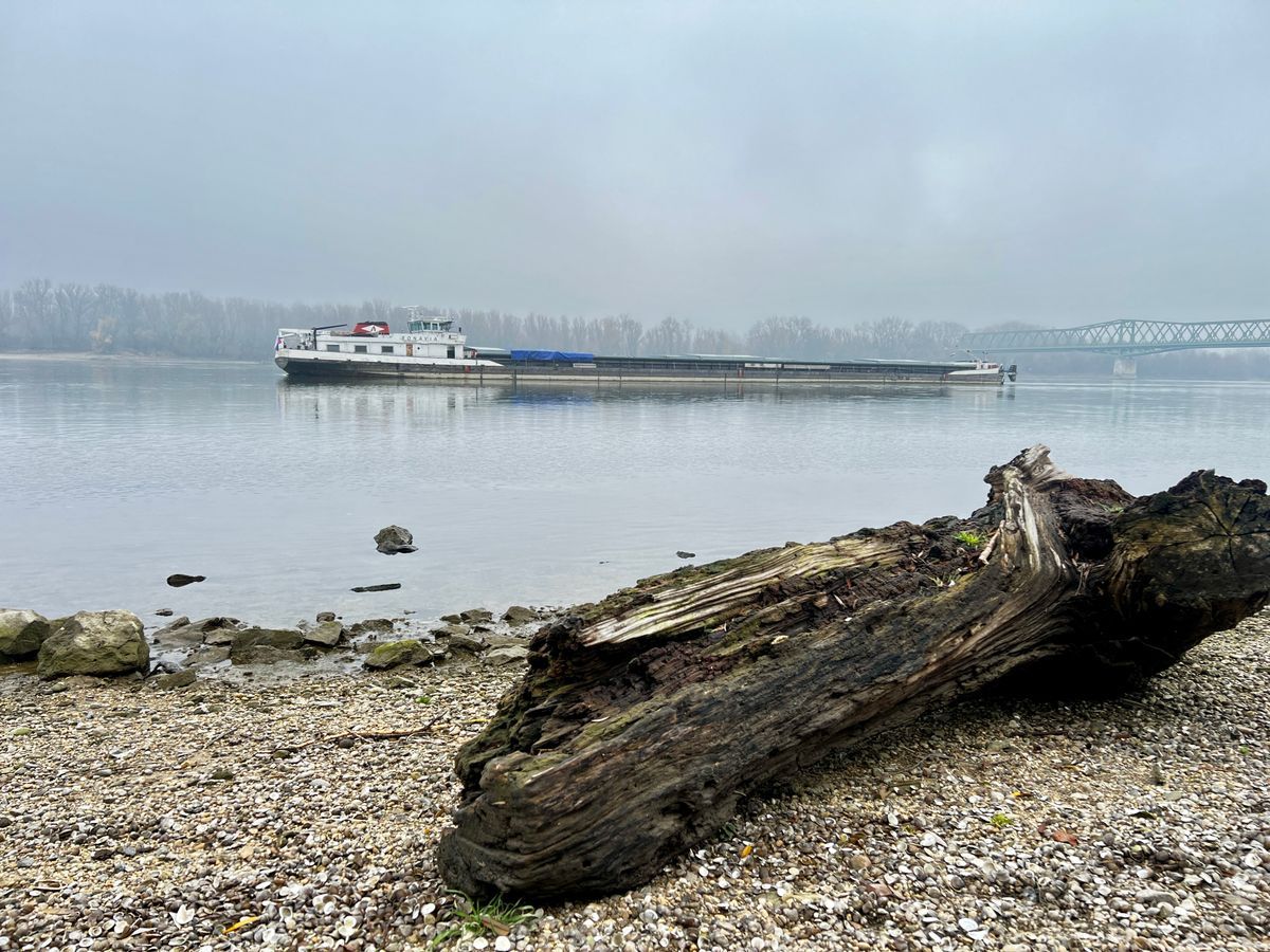 Fotó: Gallai Péter/duol.hu