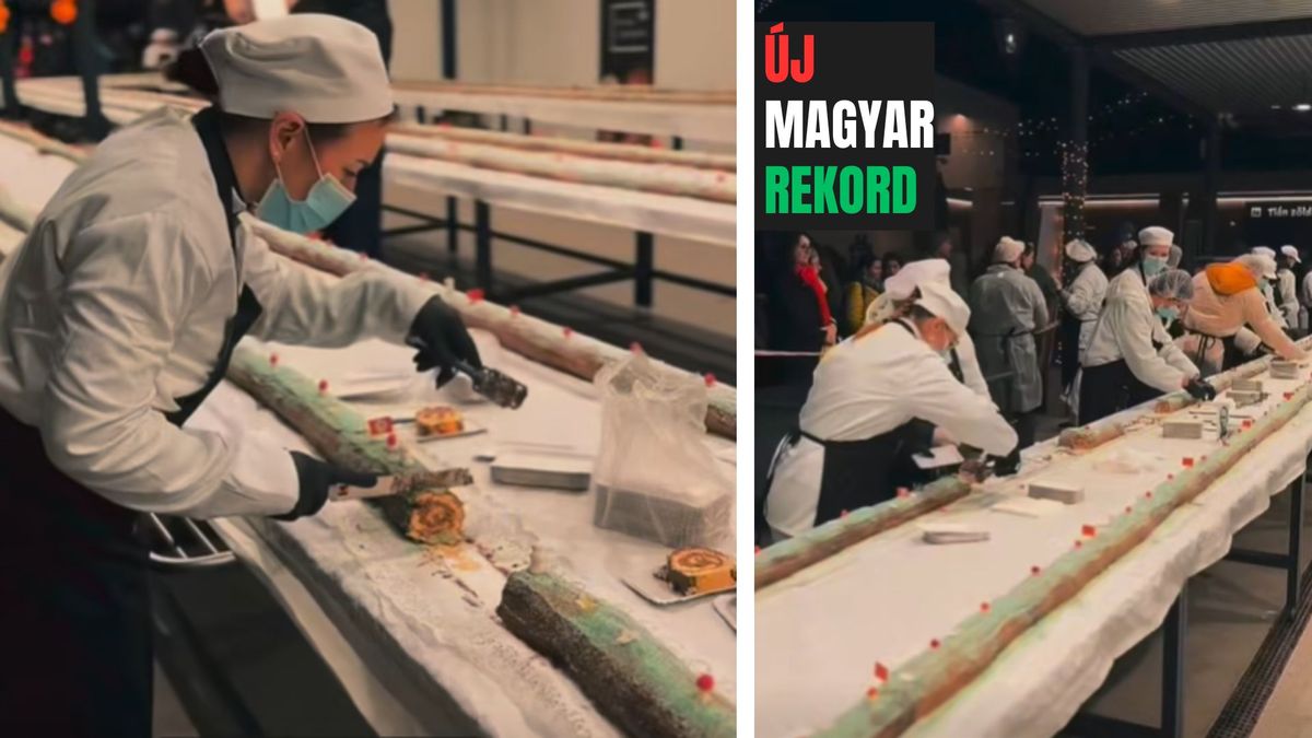 Rekordhosszú, 184 méteres fatörzs sütemény készült Esztergomban a Kolping iskola közreműködésével. Forrás: Erős Gábor / Közösségi oldala