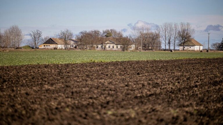 A földvásárlási lehetőség elsősorban a családi gazdaságokat, fiatal gazdákat és helyi termelőket célozza meg Illusztráció: MW-Archív