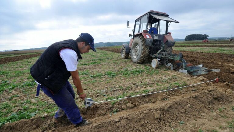 Földforgalmi törvény: az Országgyűlés előtt van a törvénycsomag, újabb változások várhatók Forrás: MW/illusztráció (archív fotó)