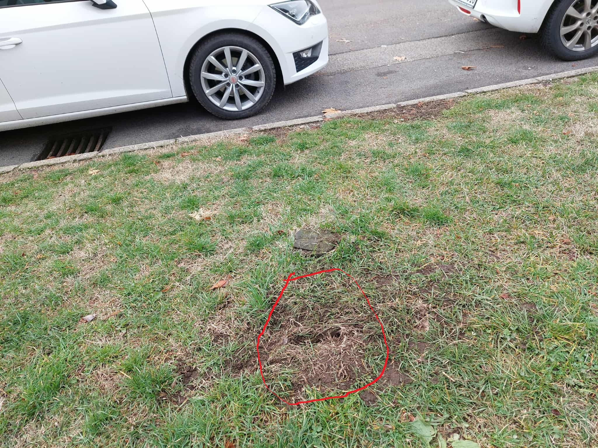 Hűlt helye az ünnepi dekornak
Forrás: Heves Hírek / Facebook