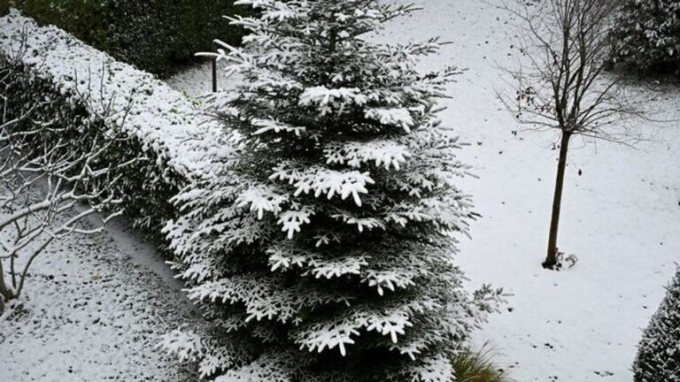 Népi időjóslás a statisztika fényében