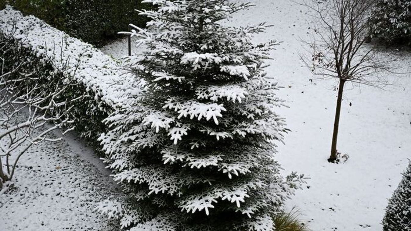 Népi időjóslás a statisztika fényében
