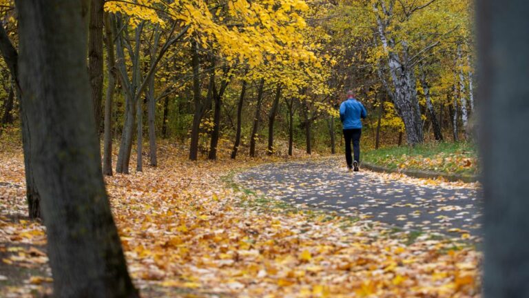 Kettős célú futóverseny: egészséges életmódot népszerűsíti és adománnyal segíti a rászorulókat Fotó: Bús Csaba