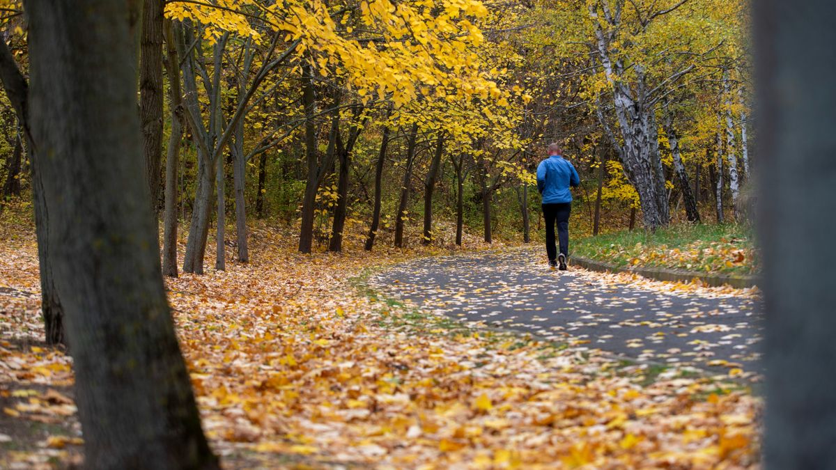 Kettős célú futóverseny: egészséges életmódot népszerűsíti és adománnyal segíti a rászorulókat Fotó: Bús Csaba