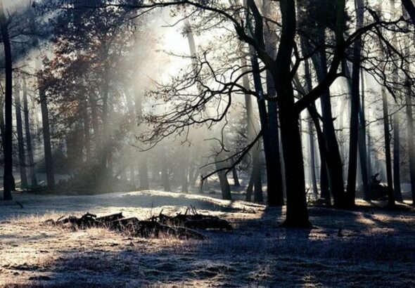 ZÚTE - SALGÓTARJÁN