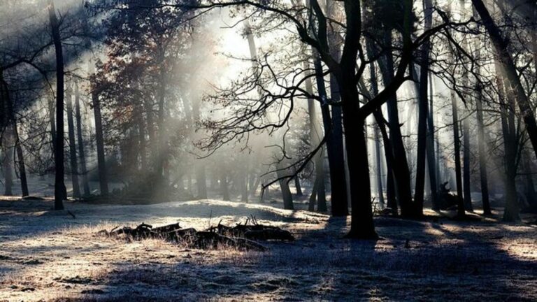 ZÚTE - SALGÓTARJÁN