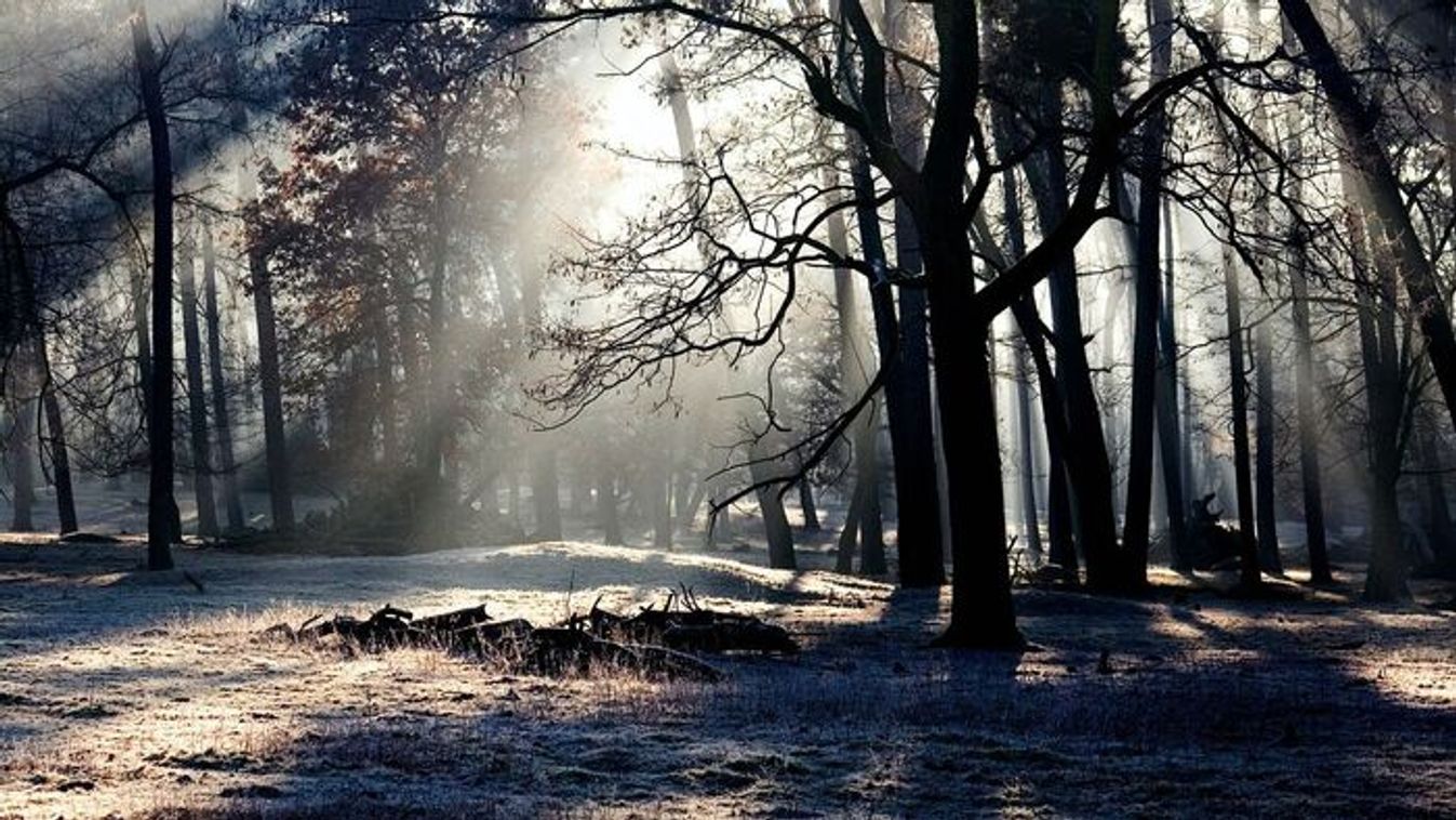 ZÚTE - SALGÓTARJÁN