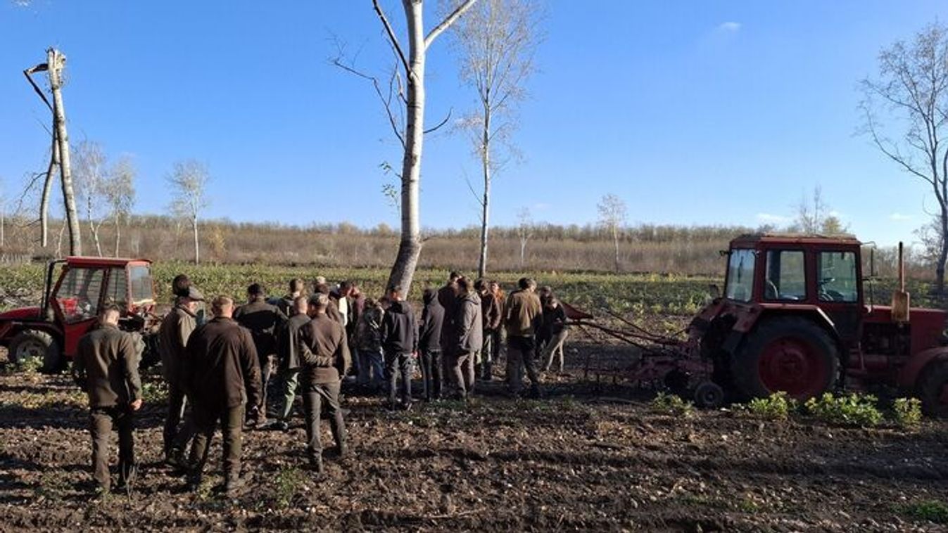Szegedről érkeztek fiatalok a Nyírerdőhöz.