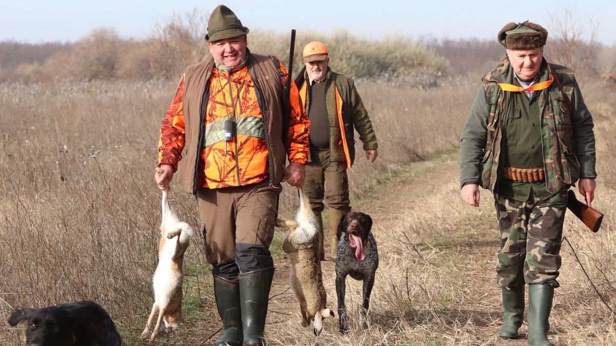 A múlt hónapban hazánkban első alkalommal azonosították a myxomatosis nevű fertőző betegséget mezei nyulaknál. Nincs ellene gyógyszer, nagy a baj Forrás: baon.hu