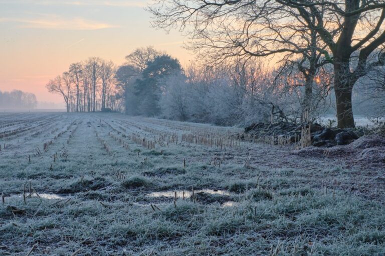 Programok sokasága várja a térségben élőket. Fotó: Shutterstock