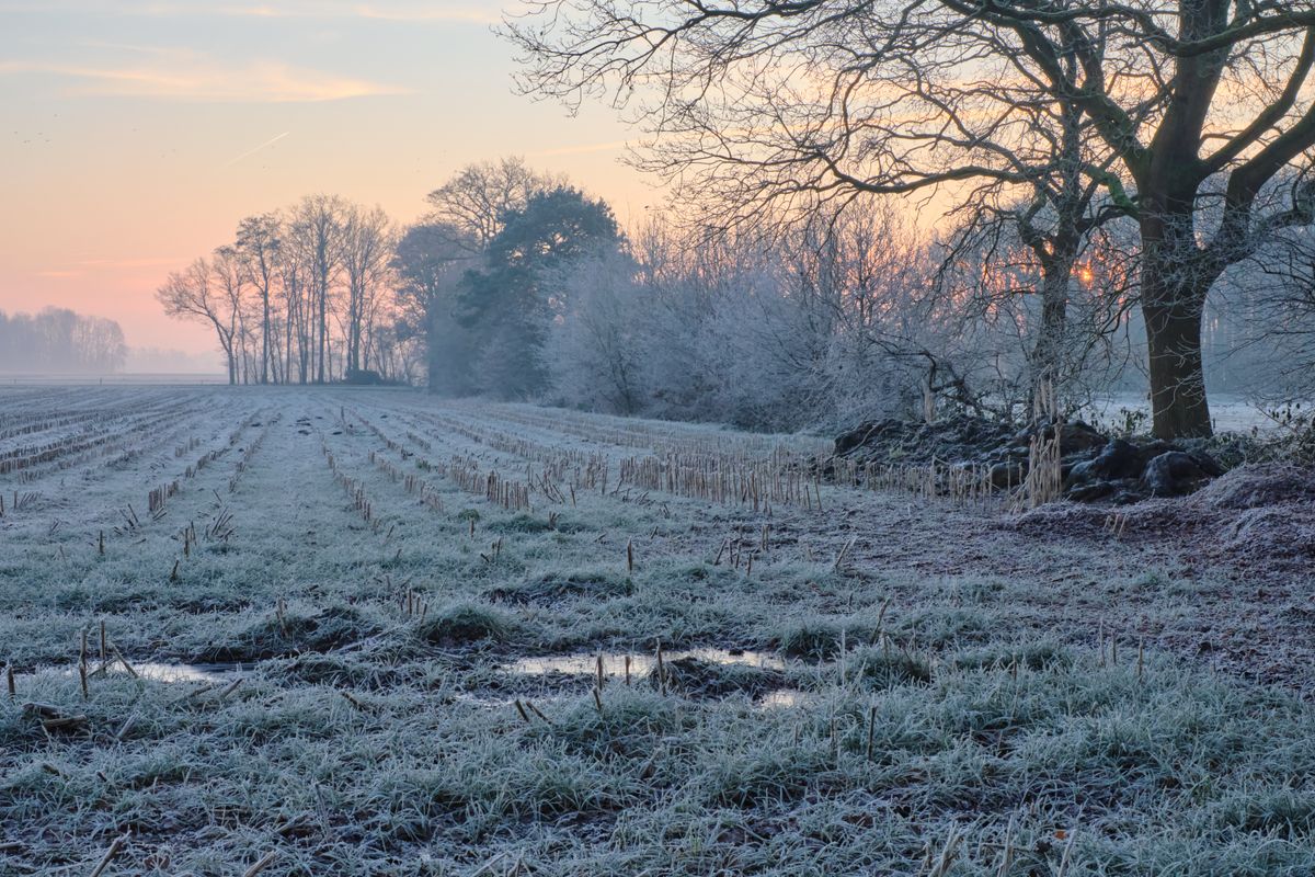Programok sokasága várja a térségben élőket. Fotó: Shutterstock