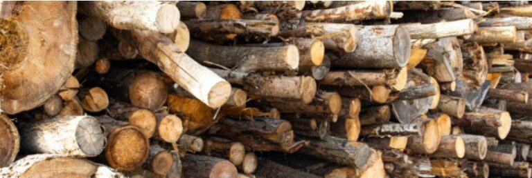 Tűzifacsalás: a hatóságok figyelmeztetnek mindenkit, hogy ne dőljenek be a gyanús hirdetéseknek Fotó: Nébih