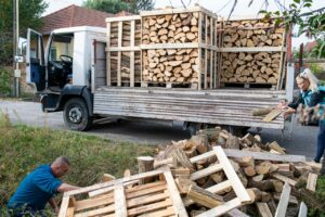 A borítókép illusztráció. Fotó: Botka László FB.