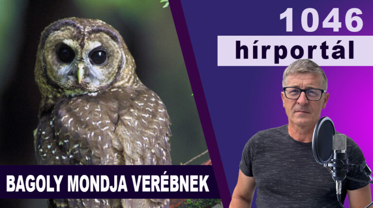 Bagoly mondja verébnek