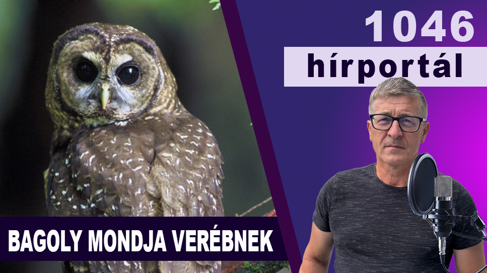 Bagoly mondja verébnek