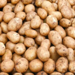 Átvernek bennünket az importkrumplival