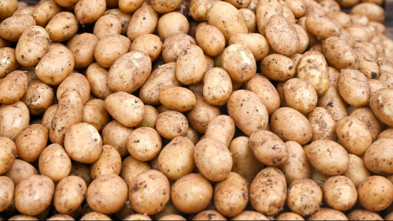 Átvernek bennünket az importkrumplival