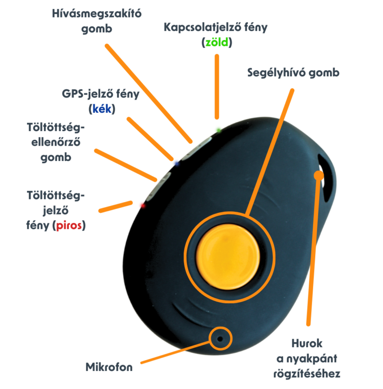 Gondosóra logófunkciói