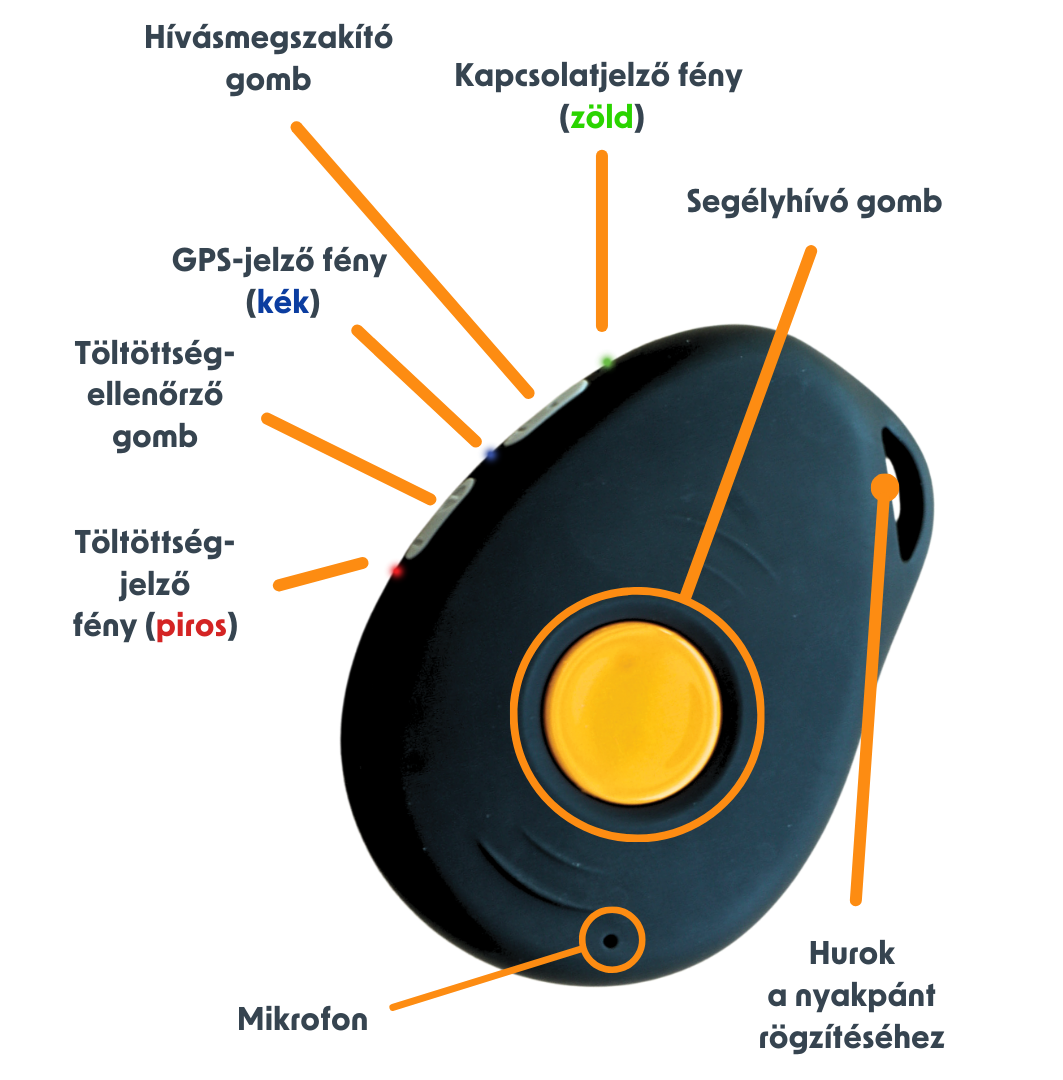 Gondosóra logófunkciói