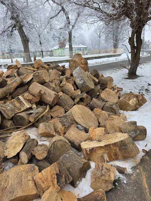 Heves Város Roma Nemzetiségi Önkormányzata tűzifaosztás