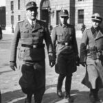 (forrás: hu.wikipedia.org)