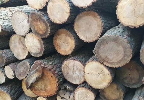 Az átvétel hétköznapokon 8:00-16:00 óra között lehetséges.