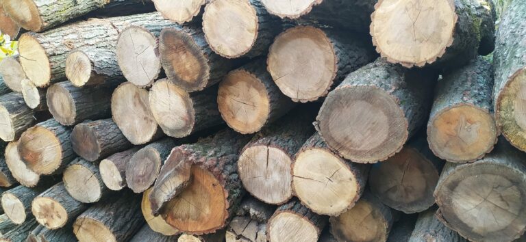 Az átvétel hétköznapokon 8:00-16:00 óra között lehetséges.