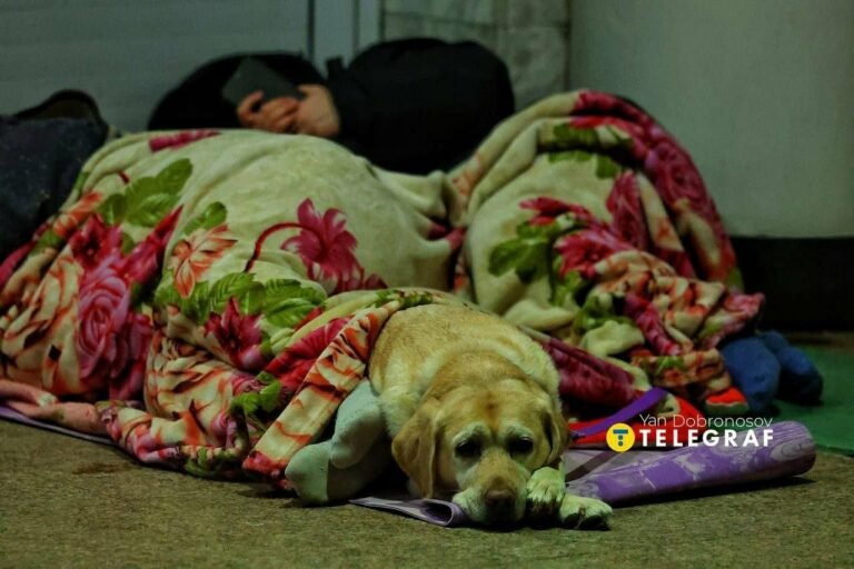 Az ember irigykedve nézi a Magyarországon bevezetett hatósági védett árat. Néhány éve még ide jártak tankolni a határ menti térségben élő magyar és szlovák autósok, ma ott tartunk, hogy nálunk többe kerül az üzemanyag (is).