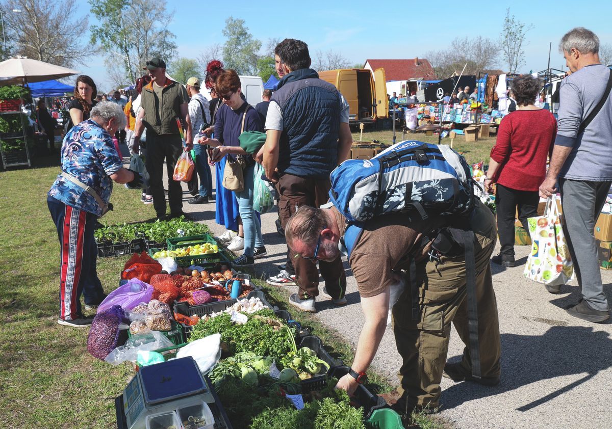 A Hurka-Kolbász Fesztivál idején, most vasárnap hurka és kolbász sül a mórahalmi vásár standjainál. Archív Fotó: Karnok Csaba