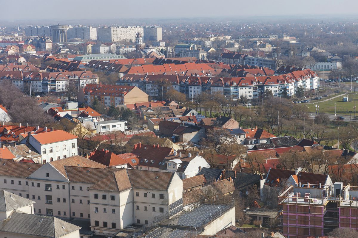 Az éjszaka leple alatt garázdálkodott egy róka Debrecenben Forrás: Illusztráció / Napló-archív