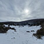 Ismét lecsapott a fagy: többször volt mínusz 10 fok márciusban a Mohos-töbörben Forrás: Mohos-töbör mikroklíma kutatás, ME Földrajz-Geoinformatika Intézet/Facebook