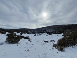 Ismét lecsapott a fagy: többször volt mínusz 10 fok márciusban a Mohos-töbörben Forrás: Mohos-töbör mikroklíma kutatás, ME Földrajz-Geoinformatika Intézet/Facebook