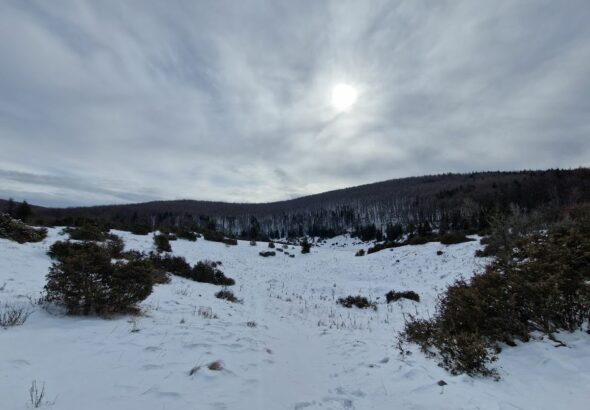 Ismét lecsapott a fagy: többször volt mínusz 10 fok márciusban a Mohos-töbörben Forrás: Mohos-töbör mikroklíma kutatás, ME Földrajz-Geoinformatika Intézet/Facebook