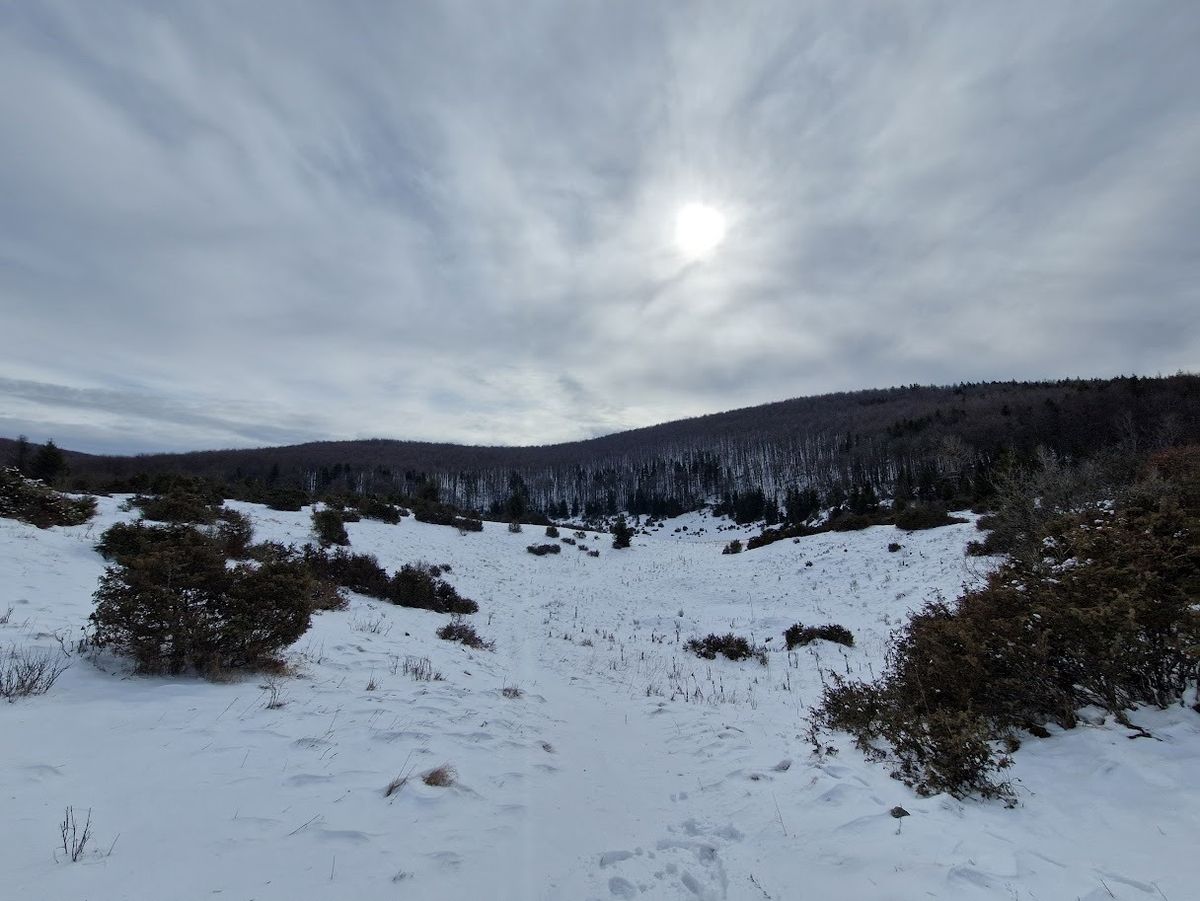 Ismét lecsapott a fagy: többször volt mínusz 10 fok márciusban a Mohos-töbörben Forrás: Mohos-töbör mikroklíma kutatás, ME Földrajz-Geoinformatika Intézet/Facebook