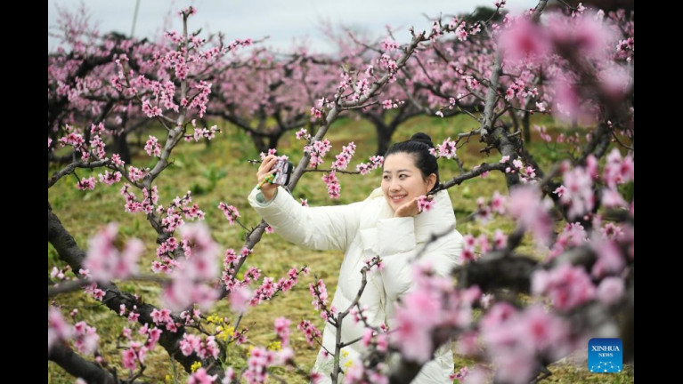 Kína: hódít a tavasz