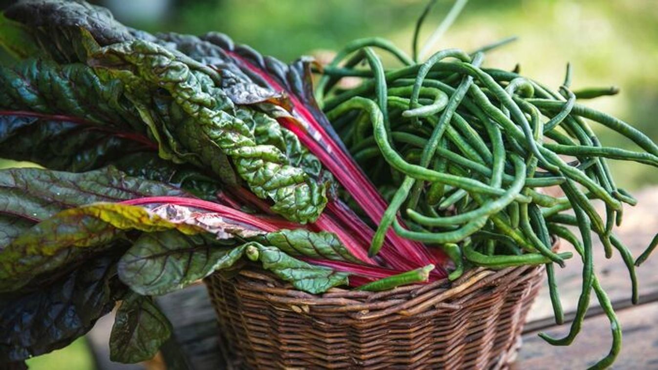 Mángoldot elvétve a pécsi, baranyai piacokon is lehet kapni