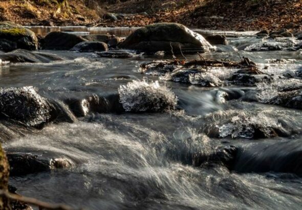 Az esetről a Pásztói infó Facebook-oldalán jelentek meg felvételek.
