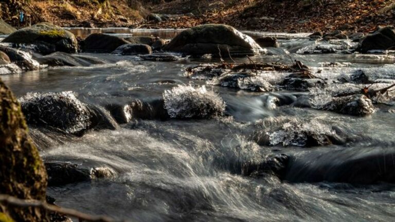 Az esetről a Pásztói infó Facebook-oldalán jelentek meg felvételek.