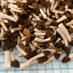 Kucsmagomba a pécsi vásárcsarnokban.