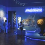 105 ezren nézték meg a Móra Ferenc Múzeum kiállítását. Fotó: archív