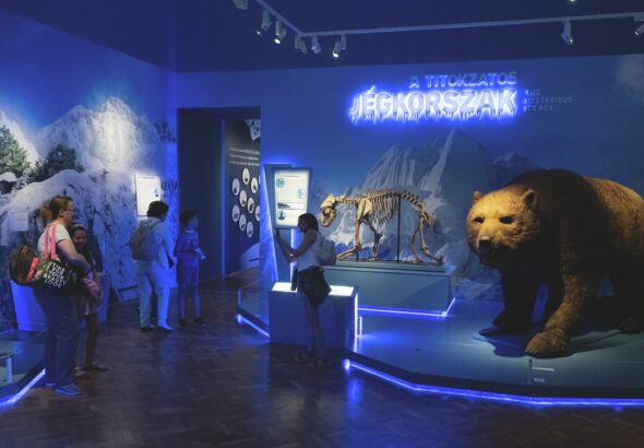 105 ezren nézték meg a Móra Ferenc Múzeum kiállítását. Fotó: archív