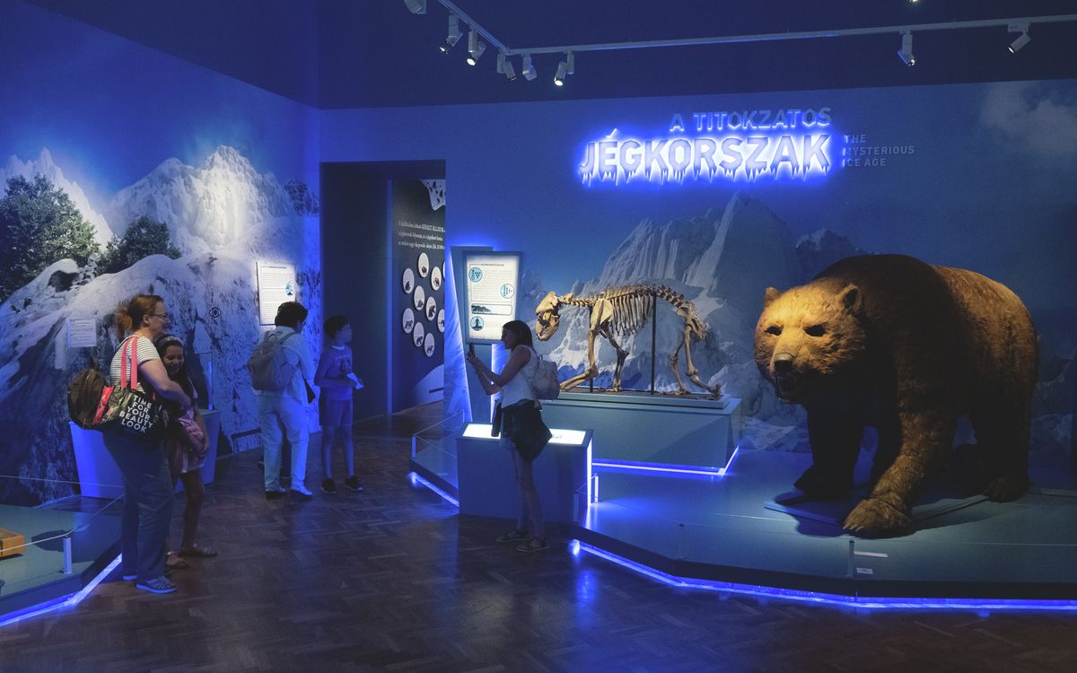 105 ezren nézték meg a Móra Ferenc Múzeum kiállítását. Fotó: archív