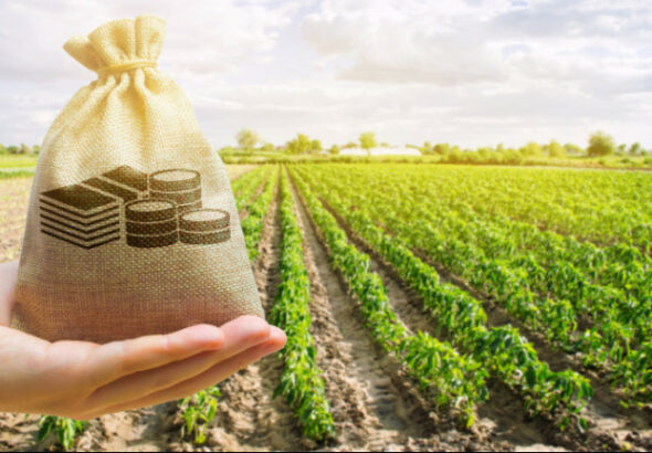 Több pénzt az agrárdolgozóknak!