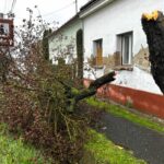 Kettétört fa Nagykanizsán a Magyar utcán. A viharos erejű szél villanyoszlopokat sem kímélt, sok munkája van a tűzoltóknak Fotó: Szakony Attila