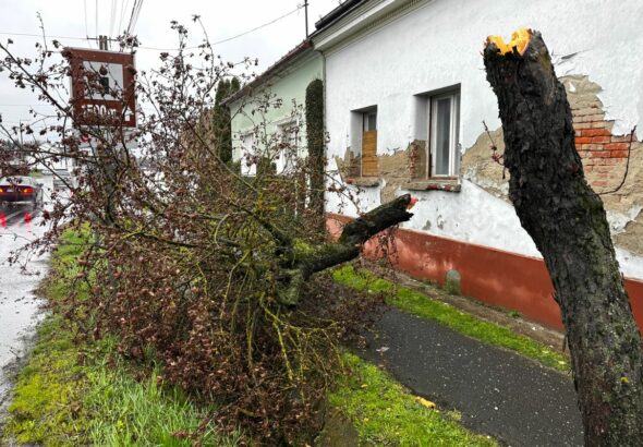Kettétört fa Nagykanizsán a Magyar utcán. A viharos erejű szél villanyoszlopokat sem kímélt, sok munkája van a tűzoltóknak Fotó: Szakony Attila