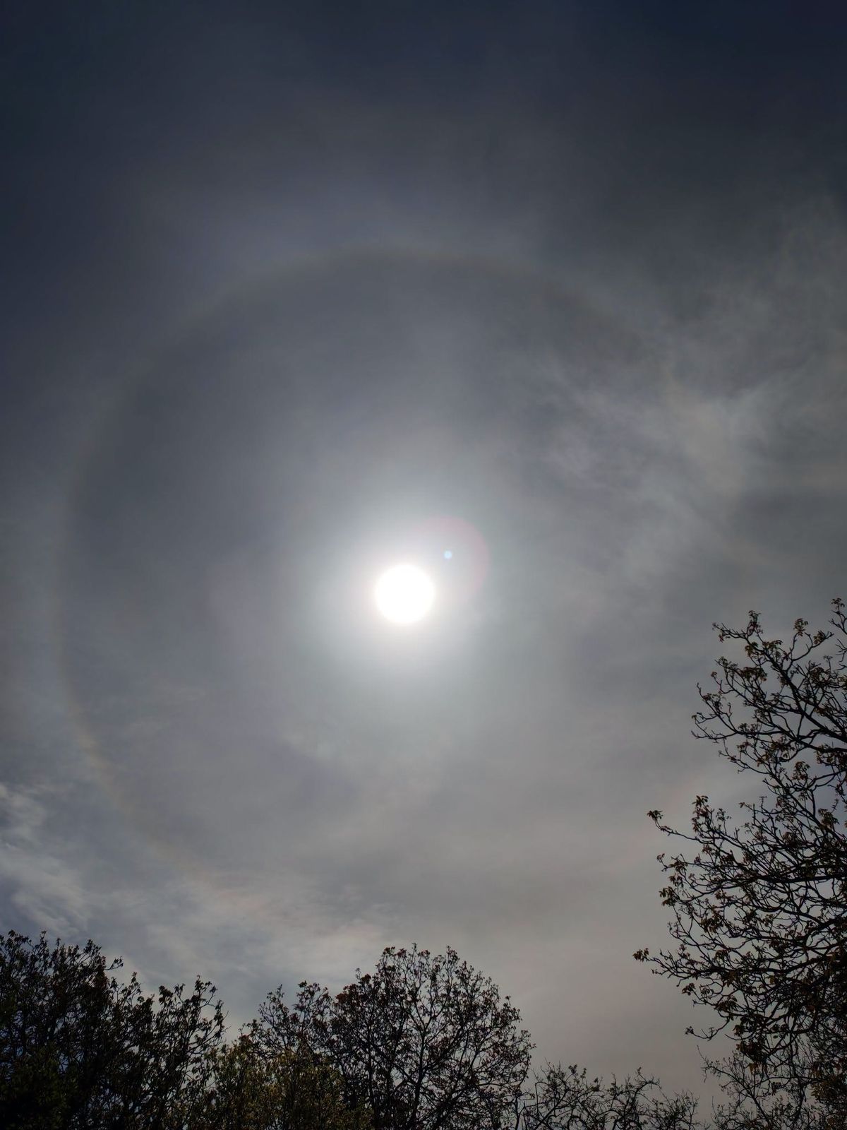 A jégkristályokon megtörő fény miatt kialakuló halójelenség látványos gyűrűbe zárja a Napot. Fotó: Makucza Bettina